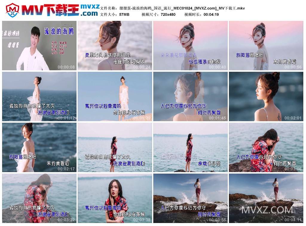 溜溜蛋-流浪的海鸥_国语_流行_MEC01024